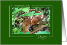 Baby Deer Wishing You Peace Christmas card