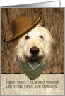 Funny Labradoodle In Cowboy Hat Bandana Get Well Beer Humor card