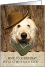 Labradoodle Wearing Cowboy Hat Funny Birthday card