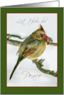 Cardinal With Evergreen And Snow Peace Christmas Holiday card