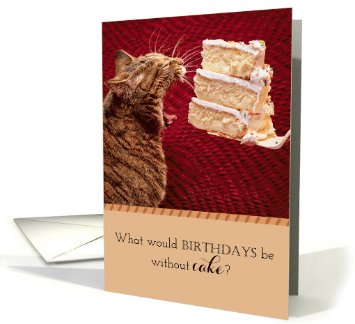 Funny Cat Eating a Giant Piece of Birthday Cake. card (1507950)