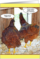 for Her Funny Birthday with Jealous Gossiping Hens and Comic Speech Bubbles card