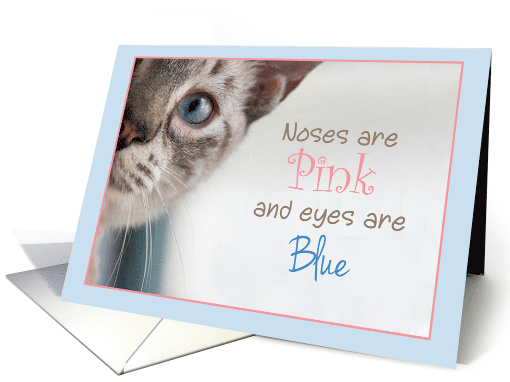 Siamese Cat Peeks around corner with Pink Nose and Blue... (1507968)