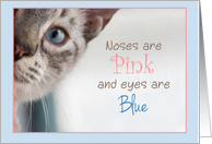 Siamese Cat Peeks around corner with Pink Nose and Blue Eyes Birthday card