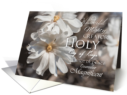 White Magnolias Wonderful Mighty Counselor Holy King... (1508726)