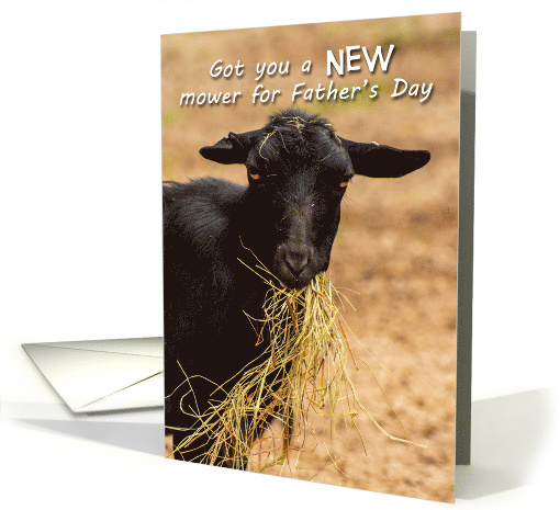 Funny New Mower for Father's Day Goat Eating Hay card (1508802)