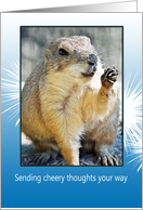 Smiling Prairie Dog Sending Cheery Thoughts Thinking of You card