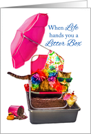 Funny Cat in Pink Beach Chair with Umbrella Litter Box Encouragement card