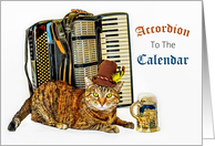 Accordion Cat in...