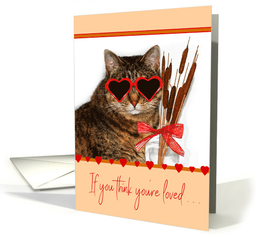 Funny Cat Wearing Heart Sunglasses and Cattails in a Vase... (1555126)