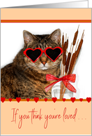 Funny Cat Wearing Heart Sunglasses and Cattails in a Vase Valentine card