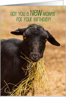 Funny Hungry Goat New Mower Birthday card