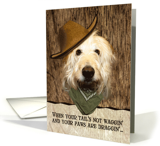 Funny Labradoodle In Cowboy Hat Bandana Get Well Beer Humor card