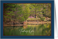 Deer Blue Heron Peaceful Wildlife Scene Thinking Of You card