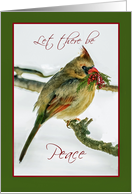 Cardinal With Evergreen And Snow Peace Christmas Holiday card