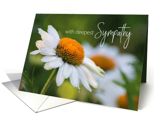 With Deepest Sympathy White Daisy With Teardrop On Petal card