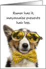 Dressed Up Dog With Bow Tie Glasses Hair Loss Birthday card