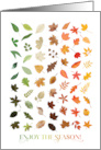 Enjoy The Season Colorful Beautiful Fall Leaves card