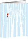 Happy Peaceful Holidays with Birch Trees and Cardinal card