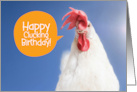 Funny Chicken Happy Clucking Birthday card