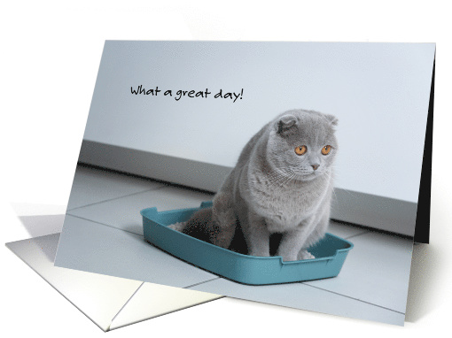 Birthday Cat Great Day No clumps in Litter Box card (1512016)