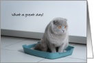 Birthday Cat Great Day No clumps in Litter Box card