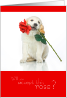 Valentine Accept This Rose card