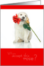 Valentine Accept This Rose card