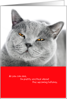 Sarcastic Valentine Pretty Excited Cat card