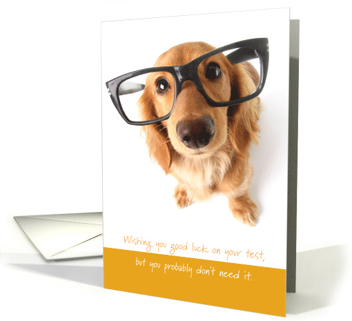 Good Luck with Test You Worked Doggone Hard card (1514724)
