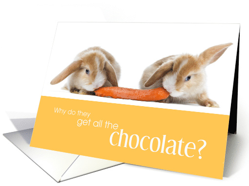 Easter Bunnies and Carrot Why Do They Get all the Chocolate card