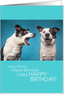 Funny Yelling Dog HAPPY BIRTHDAY! card