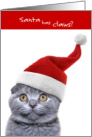 Christmas from Cat Santa Has Claws card