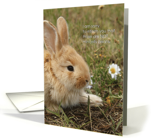 Funny Easter Those are NOT Mini Jelly Beans card (1520630)