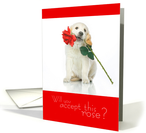 Happy Anniversary For Spouse Will You Accept this Rose Dog card