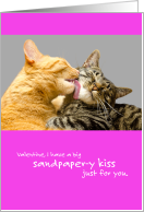 Funny Valentine Cat Sandpaper Kisses card