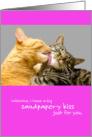 Funny Valentine Cat Sandpaper Kisses card