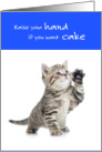 Funny Birthday Cat Raise Your Hand if you Want Cake card