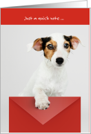 Thinking of You Jack Russell Terrier Just a Quick Note card
