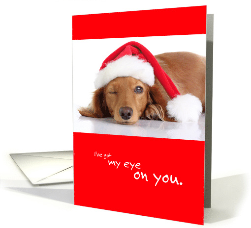 Funny Christmas Dog I've Got My Eye on You card (1535108)