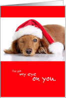 Funny Christmas Dog I’ve Got My Eye on You card