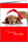 Funny Christmas Dog I’ve Got My Eye on You card