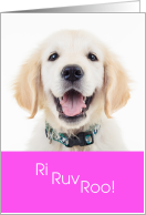 Funny Valentine Dog Ri Ruv Roo I Love You card