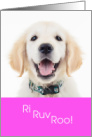 Funny Valentine Dog Ri Ruv Roo I Love You card