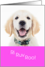 Cute I Love You Dog Ri Ruv Roo card