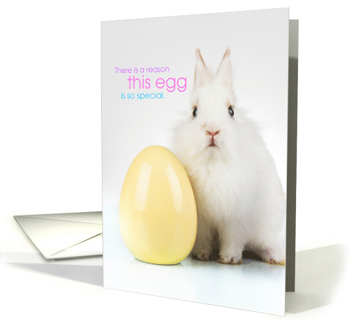 Cute Easter Bunny There is a Reason This Egg is So Special card