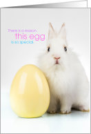 Cute Easter Bunny There is a Reason This Egg is So Special card