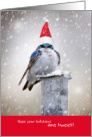 Funny Holiday Birds - Hope Your Holidays are Tweet card