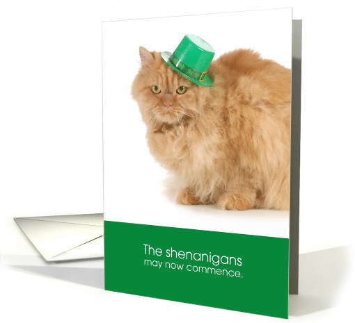 Funny Cat St. Patrick's Day - The shenanigans may now commence card