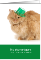 Funny Cat St. Patrick’s Day - The shenanigans may now commence card